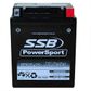MOTORCYCLE AND POWERSPORTS BATTERY (YB14L-A2) AGM 12V 12AH 310CCA BY SSB HIGH PERFORMANCE