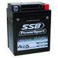 MOTORCYCLE AND POWERSPORTS BATTERY (YB14L-A2) AGM 12V 12AH 310CCA BY SSB HIGH PERFORMANCE