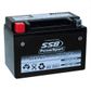 MOTORCYCLE AND POWERSPORTS BATTERY (YTX9-BS) AGM 12V 10AH 260CCA BY  SSB HIGH PERFORMANCE