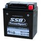 MOTORCYCLE AND POWERSPORTS BATTERY (YB10L-A2) AGM 12V 10AH 235CCA BY SSB HIGH PERFORMANCE