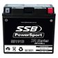 MOTORCYCLE AND POWERSPORTS BATTERY (Y51913) AGM 12V 19AH 320CCA BY SSB HIGH PERFORMANCE