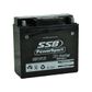 MOTORCYCLE AND POWERSPORTS BATTERY (Y51913) AGM 12V 19AH 320CCA BY SSB HIGH PERFORMANCE