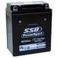 MOTORCYCLE AND POWERSPORTS BATTERY (YB12A-A) AGM 12V 12AH 250CCA BY SSB HIGH PERFORMANCE