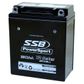 MOTORCYCLE AND POWERSPORTS BATTERY (YB12A-A) AGM 12V 12AH 250CCA BY SSB HIGH PERFORMANCE