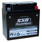 MOTORCYCLE AND POWERSPORTS BATTERY (YB16CL-B) AGM 12V 19AH 385CCA BY SSB HIGH PERFORMANCE