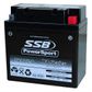 MOTORCYCLE AND POWERSPORTS BATTERY (YB16CL-B) AGM 12V 19AH 385CCA BY SSB HIGH PERFORMANCE