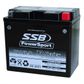 MOTORCYCLE AND POWERSPORTS BATTERY (YB16L-B) AGM 12V 19AH 385CCA BY SSB HIGH PERFORMANCE