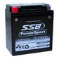 MOTORCYCLE AND POWERSPORTS BATTERY (YTX16-BS) AGM 12V 14AH 340CCA BY SSB HIGH PERFORMANCE