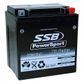 MOTORCYCLE AND POWERSPORTS BATTERY (YB30CL-B) AGM 12V 30AH 460CCA SSB HIGH PERFORMANCE