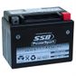 MOTORCYCLE AND POWERSPORTS BATTERY (YB4L-B) AGM 12V 4AH 105CCA BY SSB HIGH PERFORMANCE