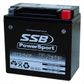 MOTORCYCLE AND POWERSPORTS BATTERY (RTX14L-BS) AGM 12V 12AH 290CCA BY SSB HIGH PERFORMANCE