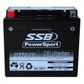 MOTORCYCLE AND POWERSPORTS BATTERY (YTX20-BS) AGM 12V 18AH 400CCA BY  SSB HIGH PERFORMANCE