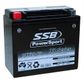 MOTORCYCLE AND POWERSPORTS BATTERY (YTX20-BS) AGM 12V 18AH 400CCA BY  SSB HIGH PERFORMANCE