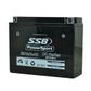 MOTORCYCLE AND POWERSPORTS BATTERY (YB16AL-A2) AGM 12V 16AH 270CCA BY SSB HIGH PERFORMANCE