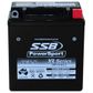 MOTORCYCLE AND POWERSPORTS BATTERY (YB3L-B) AGM 12V 3AH 85CCA BY SSB HIGH PERFORMANCE