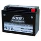 MOTORCYCLE AND POWERSPORTS BATTERY (YTX15L-BS) AGM 12V 13AH 340CCA BY SSB HIGH PERFORMANCE