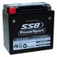 MOTORCYCLE AND POWERSPORTS BATTERY (YTX14-BS) AGM 12V 12AH 290CCA SSB HIGH PERFORMANCE