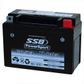 MOTORCYCLE BATTERY AGM 12V 0.6AH 130CCA BY SSB HIGH PERFORMANCE