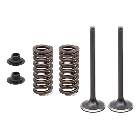 EXHAUST VALVE KIT PSYCHIC MX INCLUDES 2 VALVES, 2 SPRINGS, RETAINERS & SEATS