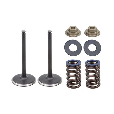 INLET VALVE KIT PSYCHIC MX INCLUDES 2 VALVES, 2 SPRINGS, RETAINERS & SEATS