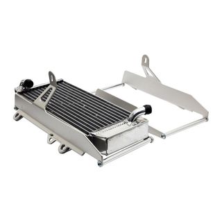 RADIATOR GUARDS BETA BLACK FOR USE WITH FAN KIT