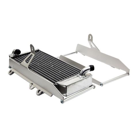 RADIATOR GUARDS BETA BLACK FOR USE WITH FAN KIT