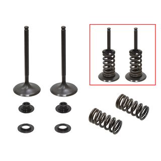 INLET VALVE KIT PSYCHIC HUSABERG HUSQVARNA FE350 13-18 KTM350 EXC-F 2014-18 XCF-W 2012-18