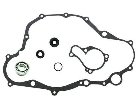 WATER PUMP REPAIR KIT PSYCHIC YAMAHA YZ450F 10-13