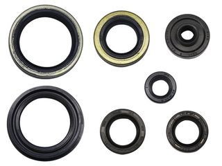 ENGINE OIL SEAL SET PSYCHIC SUZUKI RM125 04-13