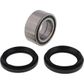 WHEEL BEARING KIT ALL BALLS REAR HONDA TRX650 RINCON 03-05 TRX680 RINCON 06-23 TRX700 RUBICON 24-26