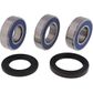 WHEEL BEARING KIT ALL BALLS REAR KAWASAKI H2 Z1000 ZX10R ZX10RR ZX12R ZX14R ZX6R ZX7R ZX9R