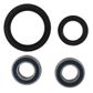 WHEEL BEARING KIT ALL BALLS FRONT SUZUKI DRZ400E 00-03 DRZ400S 00-24 DRZ400SM 05-24