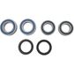 WHEEL BEARING KIT ALL BALLS REAR DUCATI MONSTER 821 MULTISTRADA