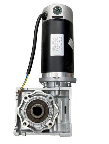 SANTINT V100 DC MOTOR 110V210RPM