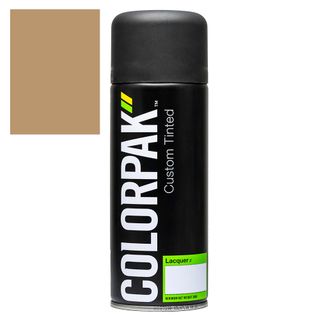 COLORPAK COLOURSTEEL AEROSOL SPRAYPAINT LICHEN