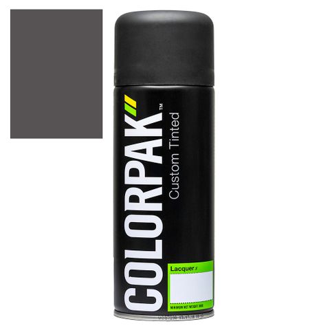 COLORPAK COLOURSTEEL AEROSOL SPRAYPAINT TERNSTYLE