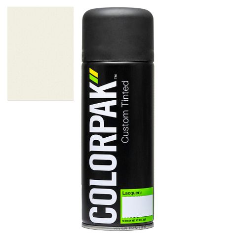 COLORPAK COLOURSTEEL AEROSOL SPRAYPAINT CLOUD