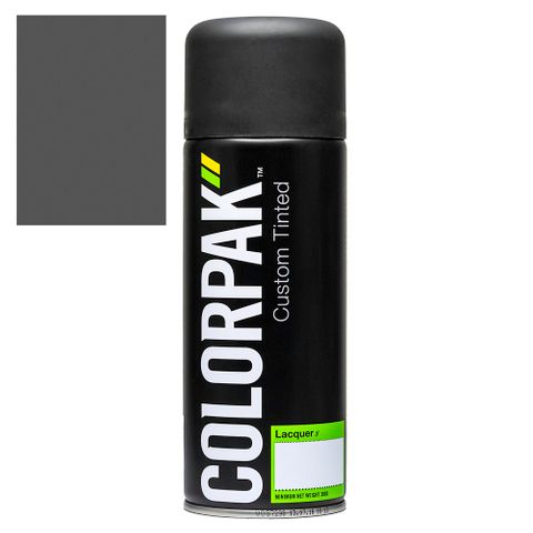 COLORPAK COLOURSTEEL AEROSOL SPRAYPAINT THUNDER GREY