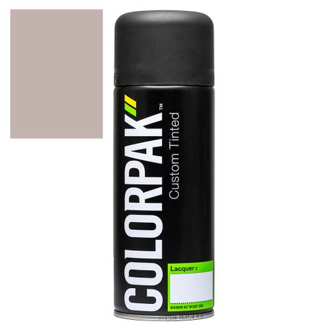 COLORPAK COLOURSTEEL AEROSOL SPRAYPAINT GULL GREY