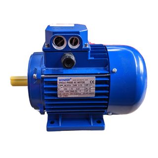 AC MOTOR (220V 50HZ) - SANTINT S5