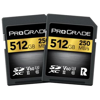 PROGRADE DIGITAL SDXC GOLD UHS-II 51GB R250MB/S W120MB/S V60 2PK