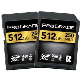 PROGRADE DIGITAL SDXC GOLD UHS-II 512GB R250MB/S W120MB/S V60 2PK