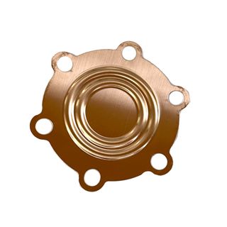 IWATA RRAS DIAPHRAGM