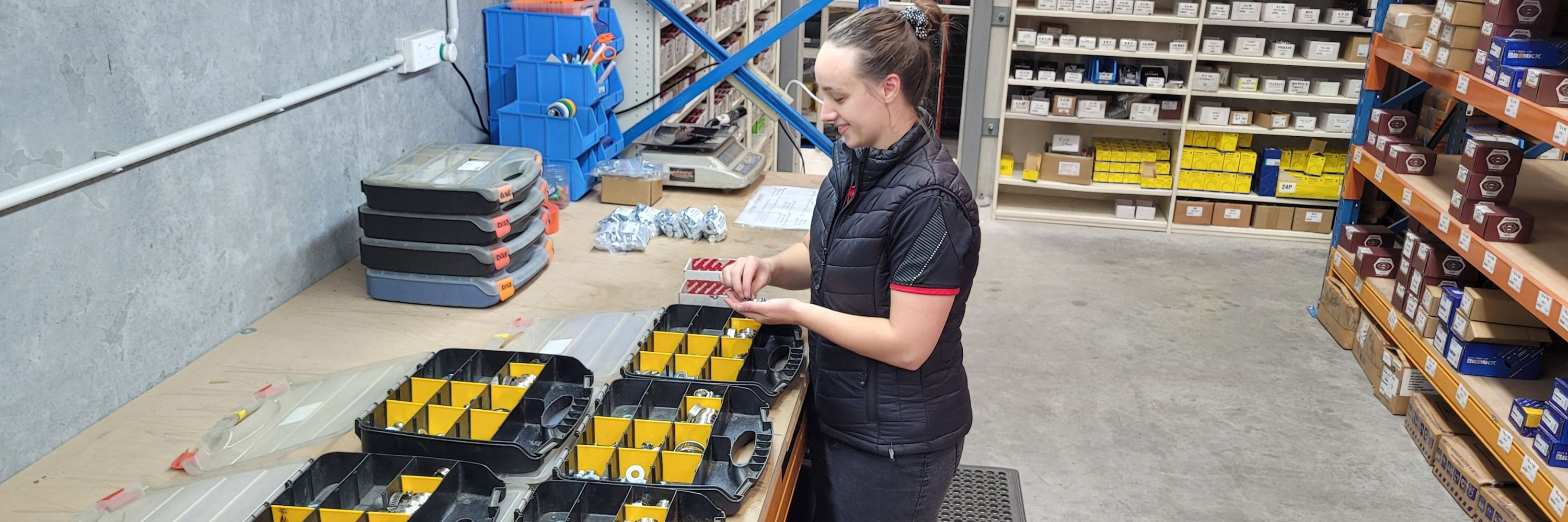 <h2>Enquire after our Fastener kits</h2><p>Organised.  Convenient.  Time Saver.<p> Cost Effective.