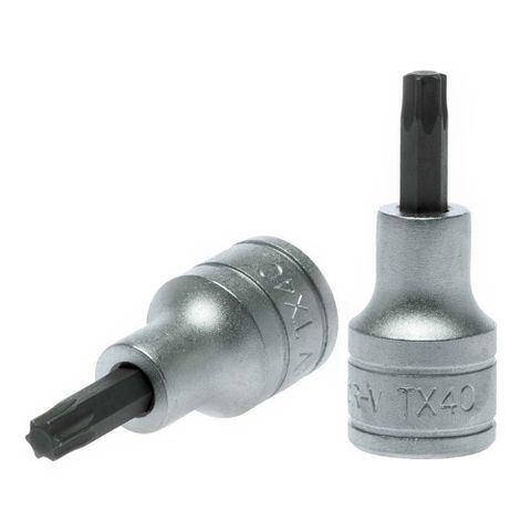 1/2in Dr. TX Bit Socket TX40 -Teng