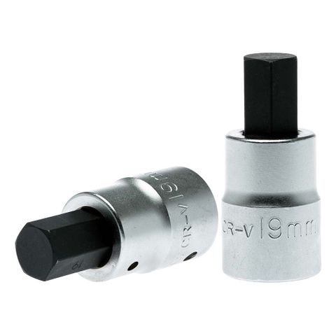 3/4in Dr. Hex Bit Socket 19mm -Teng