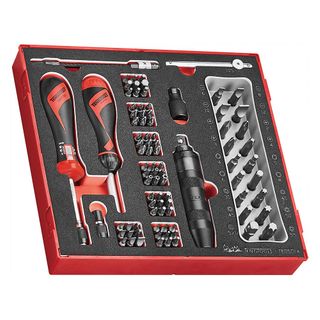 95pc Torque Screwdriver Set 1-5Nm (EVA) - TED-Tray -Teng