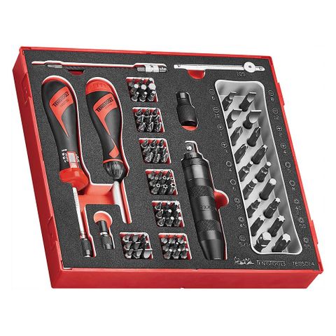 95pc Torque Screwdriver Set 1-5Nm (EVA) - TED-Tray -Teng