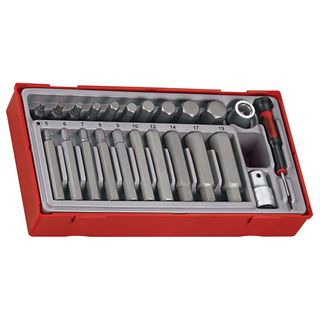 23pc Hex Bits Set 5-19Metric - TC-Tray -Teng