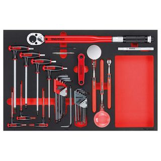 17pc Torque Wrench Hex/TX & insp Tool Set (EVA) -Teng